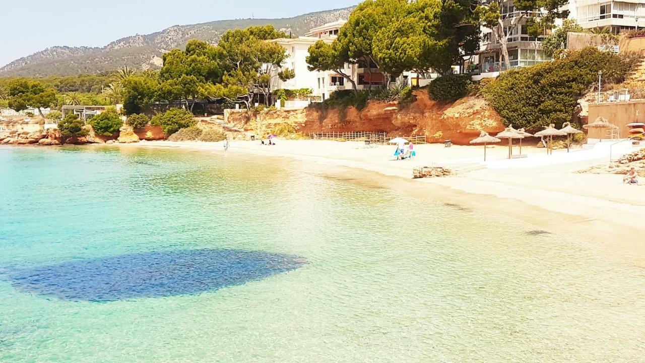 Next To The Portals Nous (Mallorca)